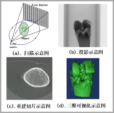 Micro-CT扫描几何结构