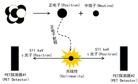 PET探测原理